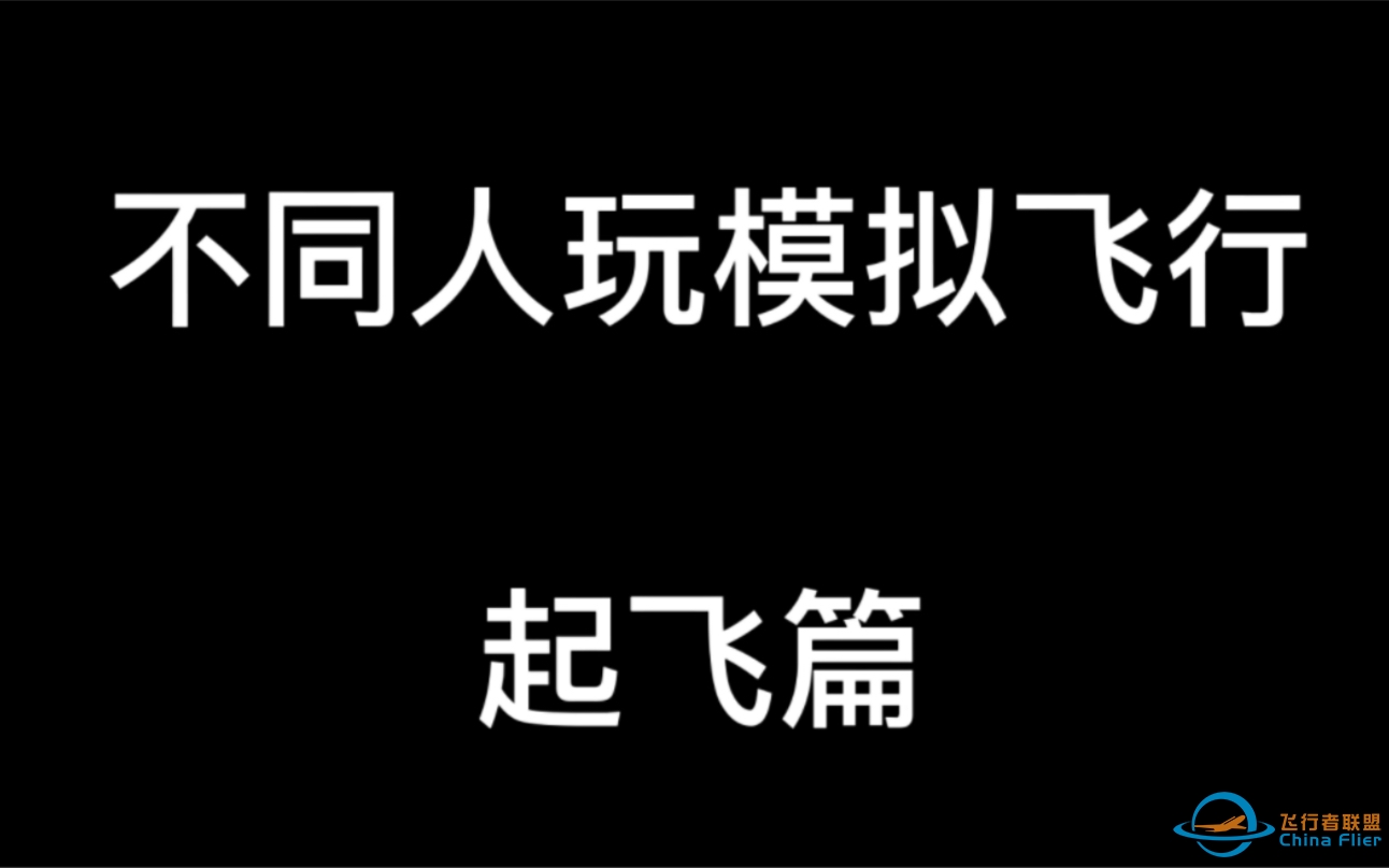 不 同 人 玩 模 拟 飞 行-8438 