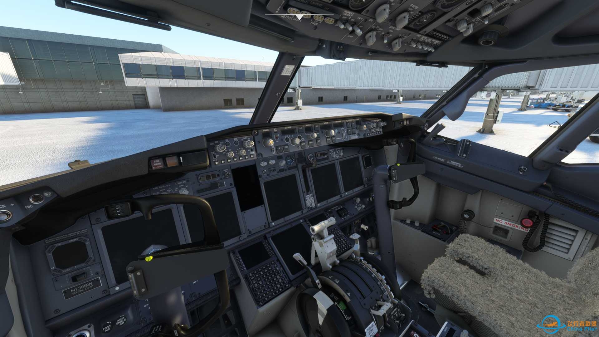 PMDGB738不能飞行-8661 