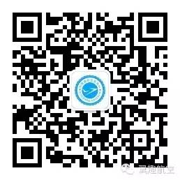 一名失败飞行员的表现:试图用高超技术控制一架飞机-8346 