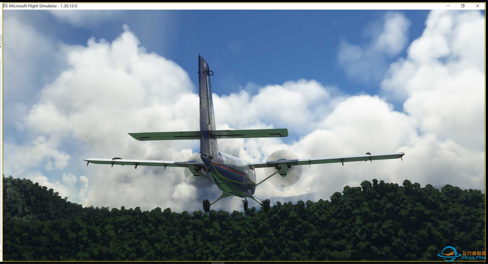 巴布亚新几内亚 DAY1-6176 