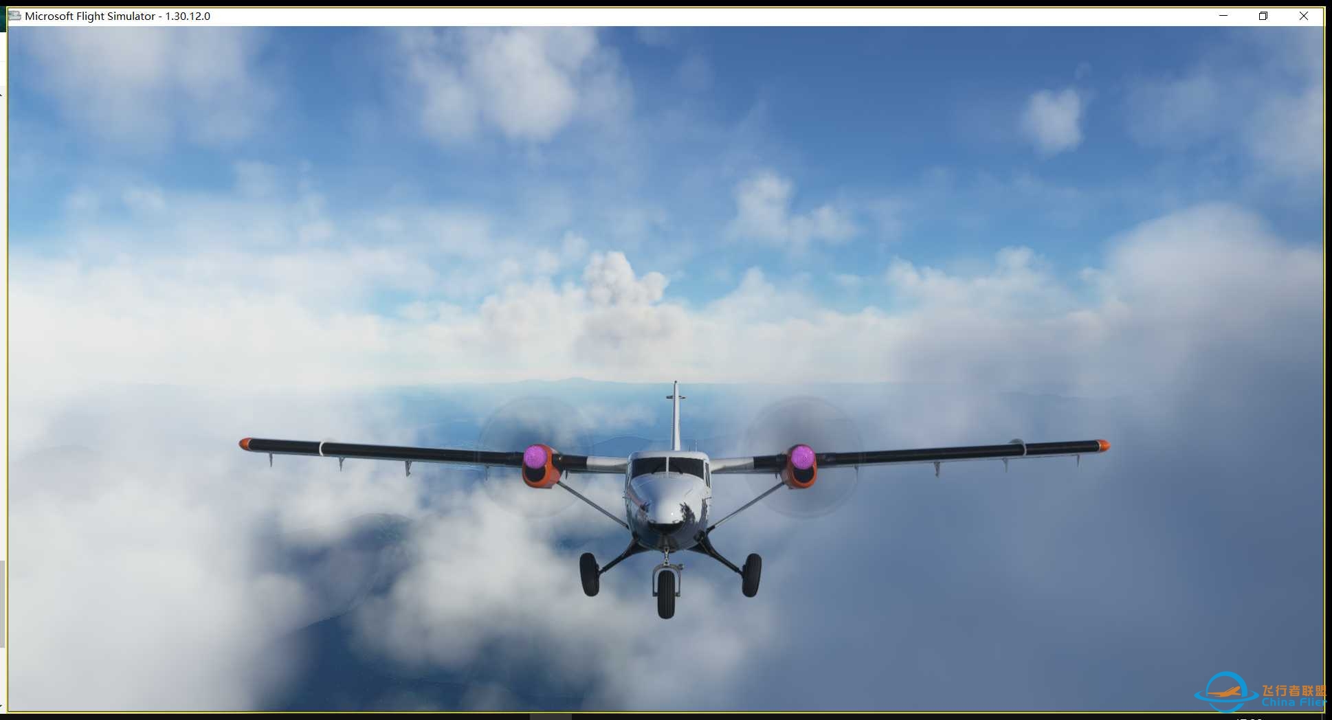 巴布亚新几内亚 DAY4-9847 