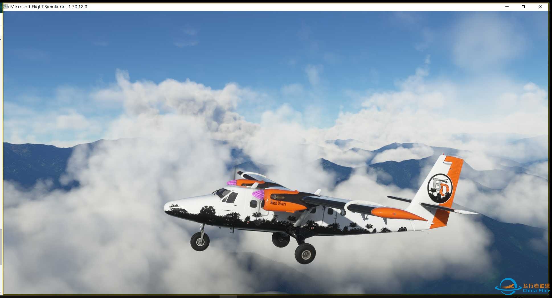 巴布亚新几内亚 DAY4-4802 