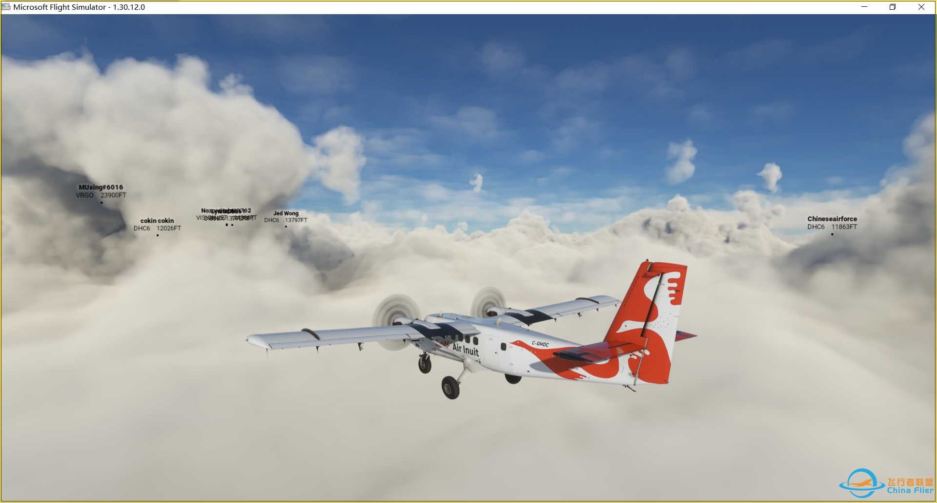 团飞北美冻土高原-7754 