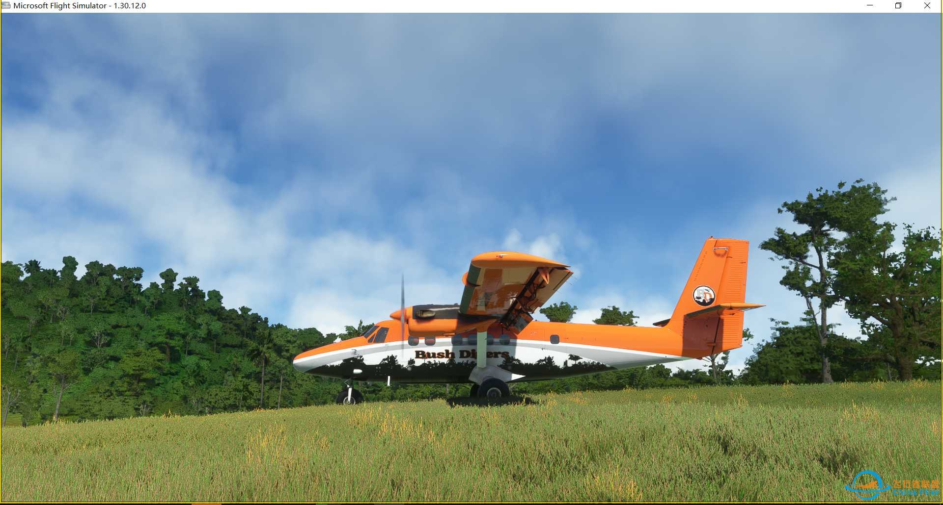 巴布亚新几内亚 DAY6-7173 