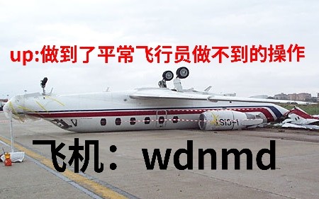 【Aerofly FS2021】俄  式  降  落-2055 