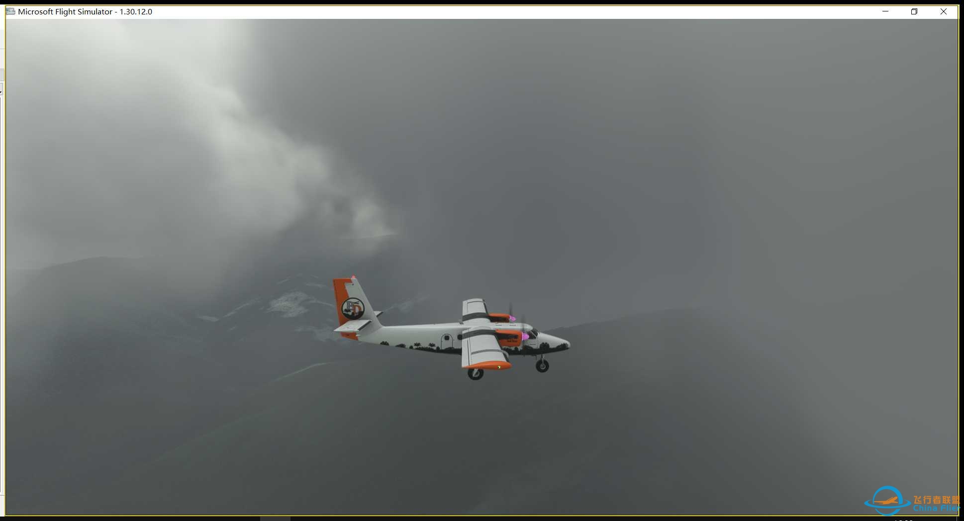 巴布亚新几内亚 DAY6-9174 