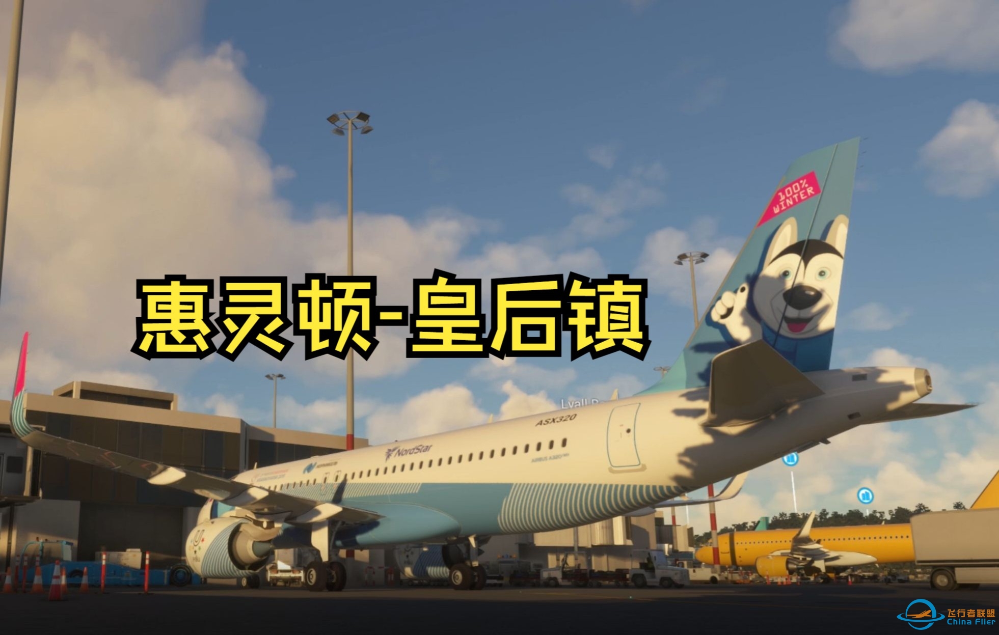 MSFS 2020惠灵顿-皇后镇两个最美机场-4890 