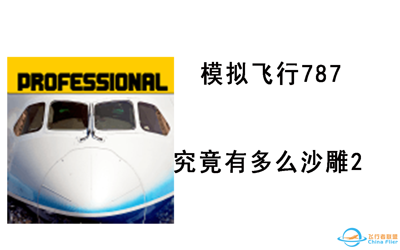 飞行模拟787究竟有多么沙雕2-4490 