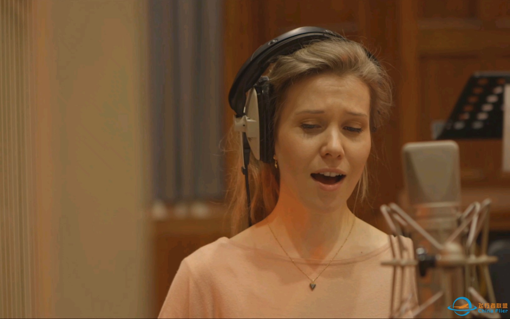 『One Year Anniversary Medley』 (Orchestra Ver.) - Project Wingman Live Orchestra-7151 