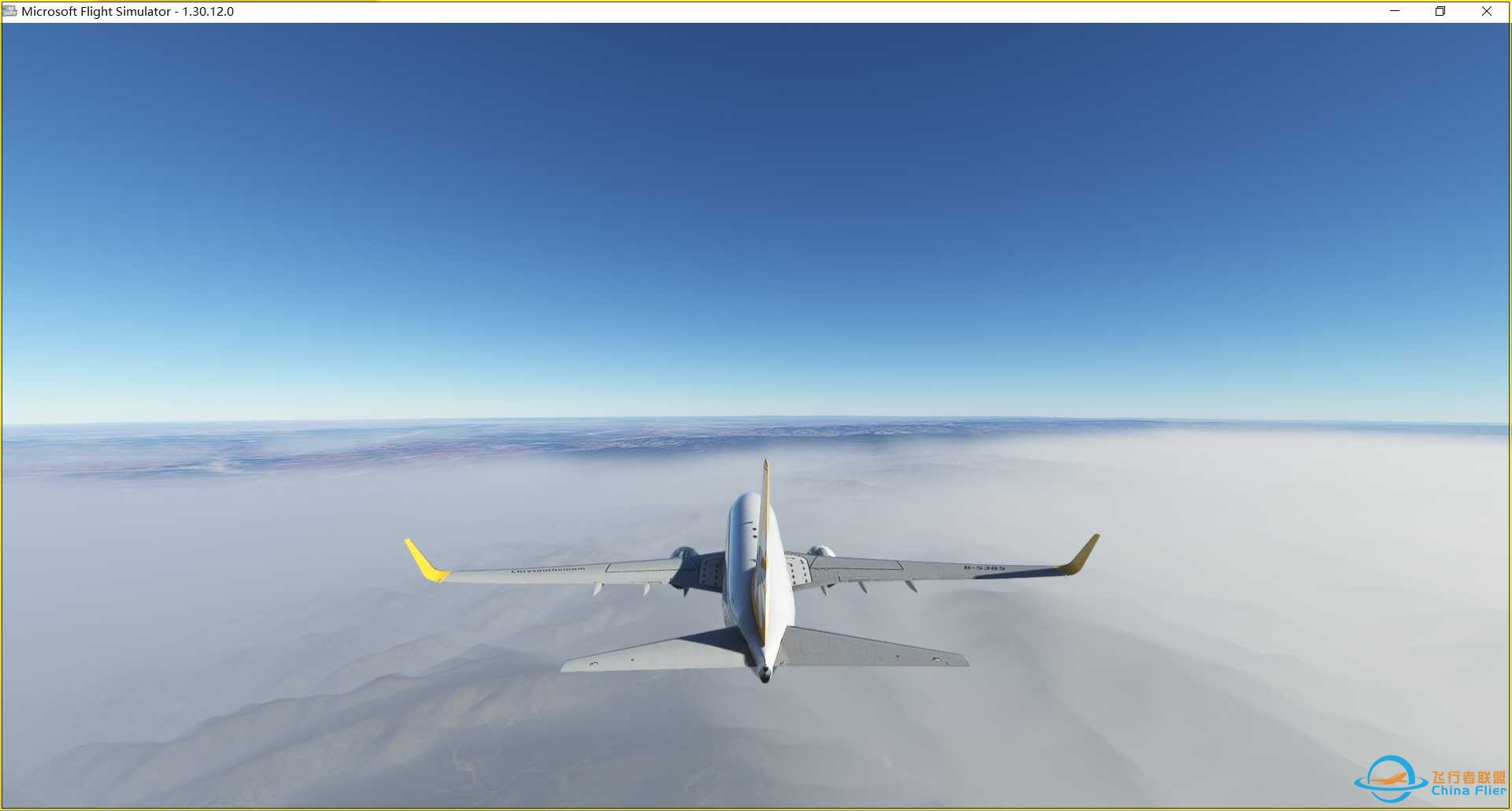 菊花  ZBHH-ZBER-3308 