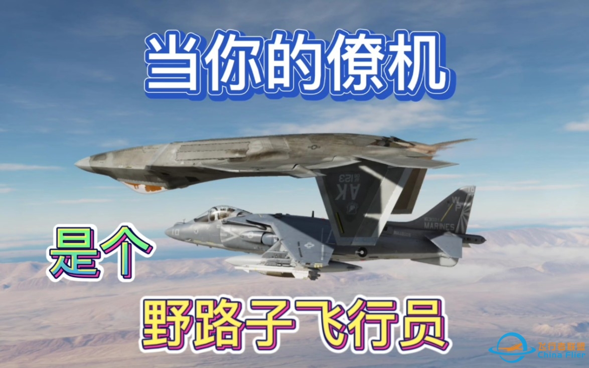 【DCS】当你的“僚机”是个野路子飞行员（16）-355 