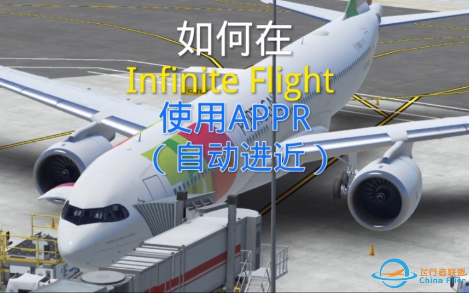 【Infinite Flight 】APPR教程（错了请纠正）-2205 