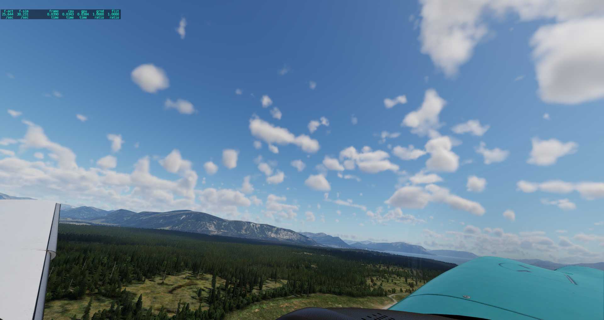 XP12   CYPR-2169 