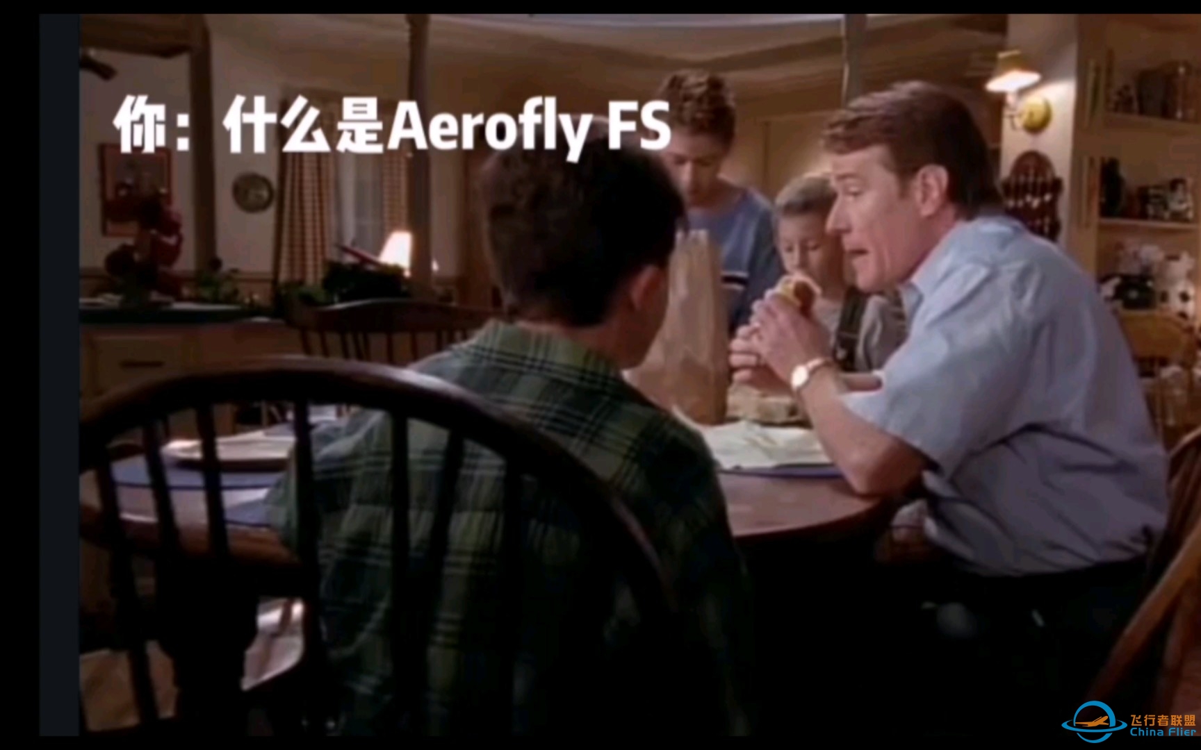 当十年后儿子问你什么是Aerofly FS-9149 