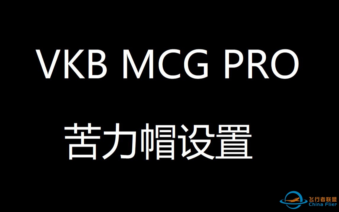 VKB MCG Pro 的苦力帽设置V2（简介中有更正）-7042 