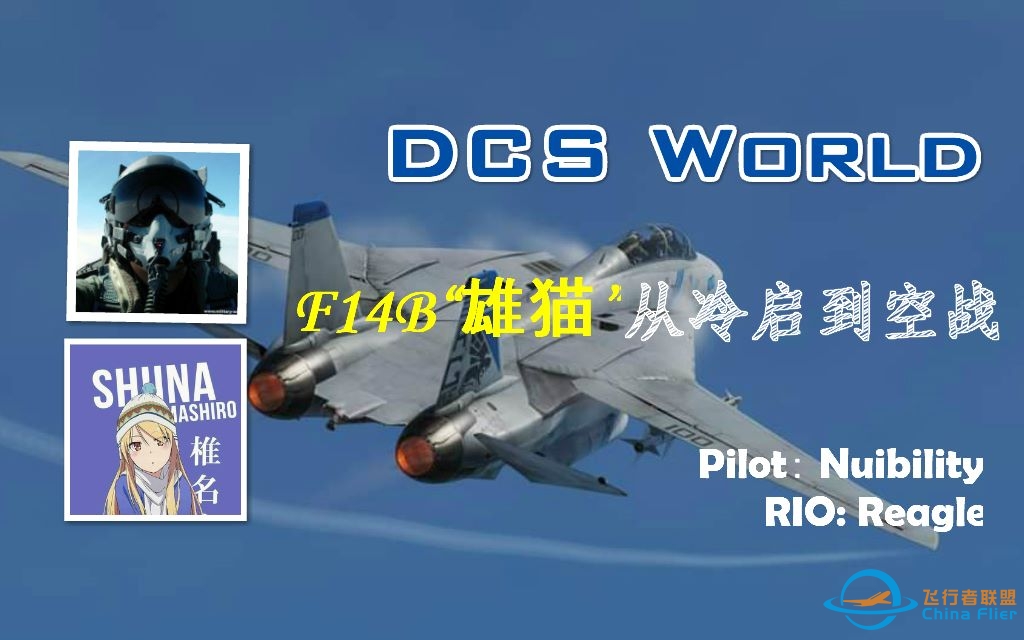 【DCS World】F-14B“雄猫”双人基础教学——从冷启动到空战-254 