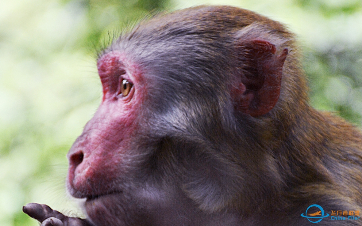 现代空战3D：就tm你叫悟空啊-4074 