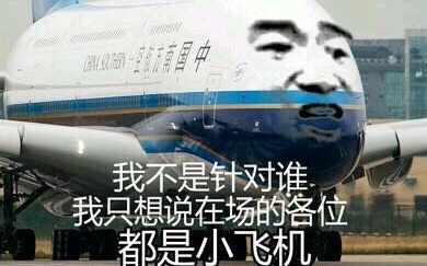 【VAULT713】Infinite Flight China Southern CZ-621 软着陆-2031 