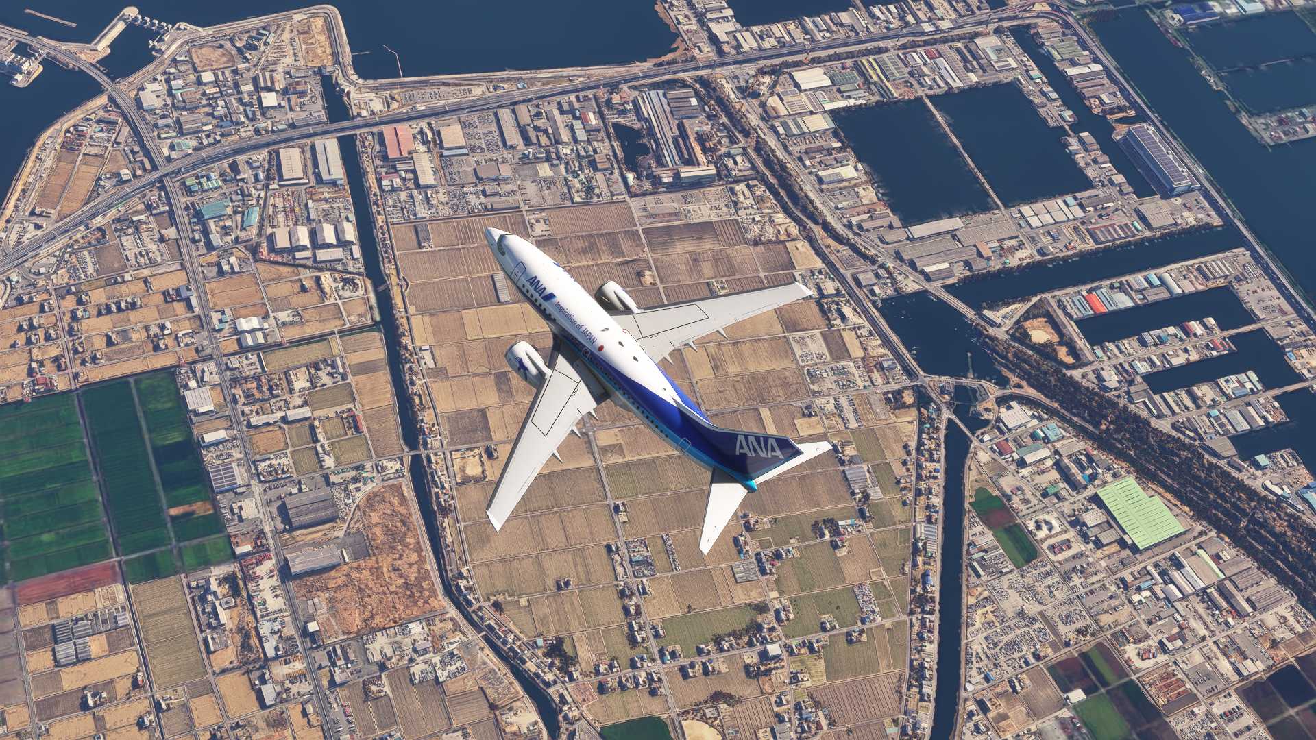 【名古屋-东京】超级海豚重返蓝天！-4501 