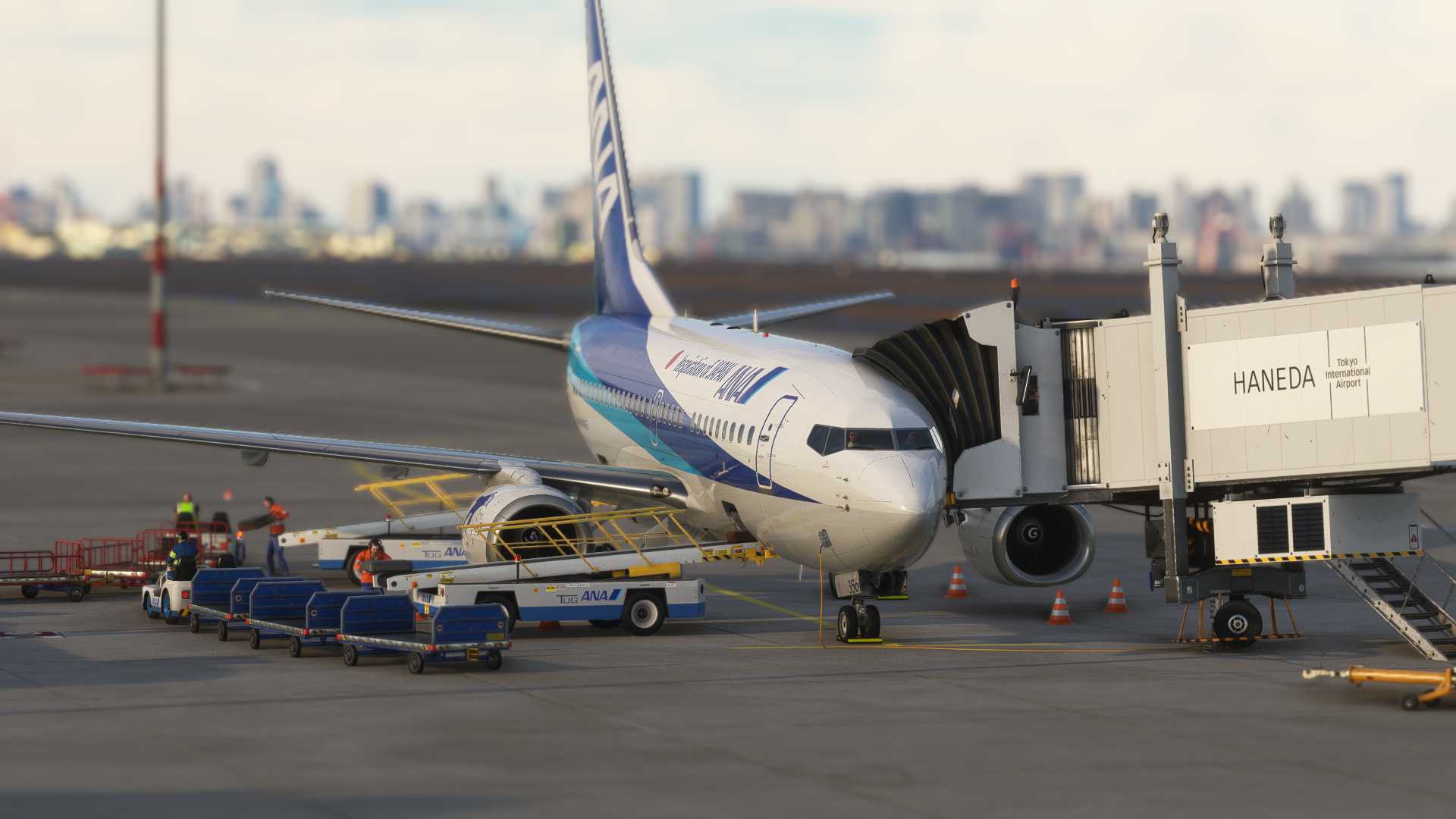 【名古屋-东京】超级海豚重返蓝天！-2165 