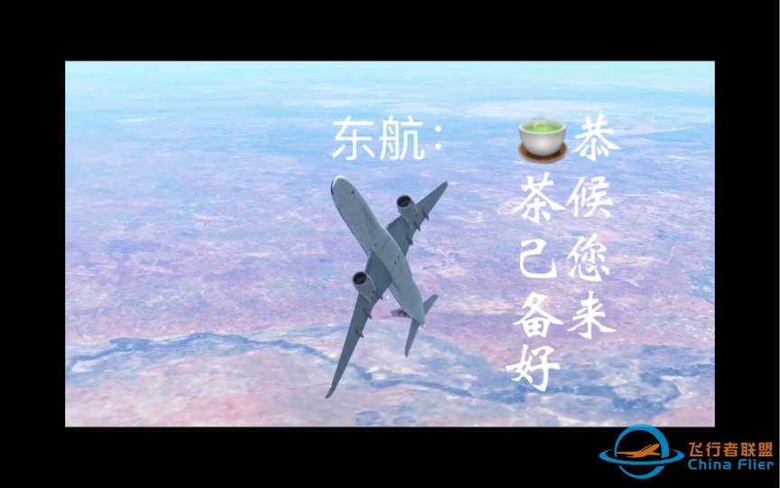 【infinite flight】TS高空乱踩跎，不收违规不坠落。东航看了直叫好，茶杯满上即滚蛋。漠视八该一反对，CAAC看了都流泪-2532 