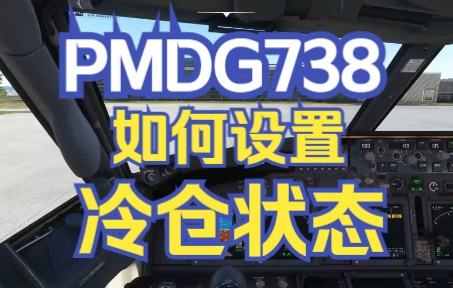 【飞行模拟2020】PMDG738如何设置冷仓状态？-6515 