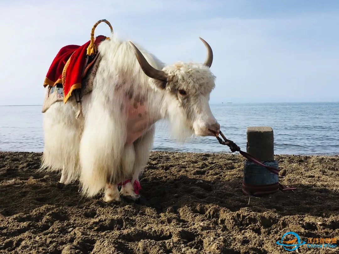 Apr 28-May 5【Mirror of the Sky in China】Qinghai&Gansu Silk Road-7483 