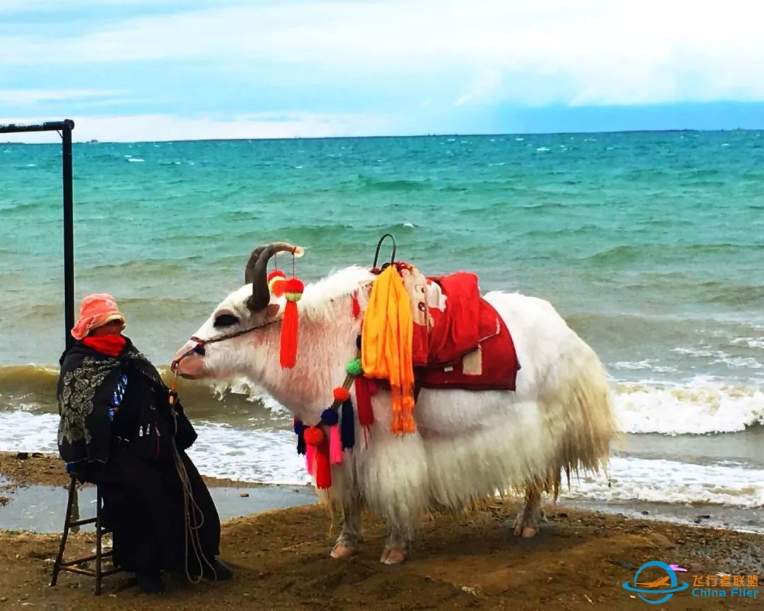 Apr 28-May 5【Mirror of the Sky in China】Qinghai&Gansu Silk Road-1308 