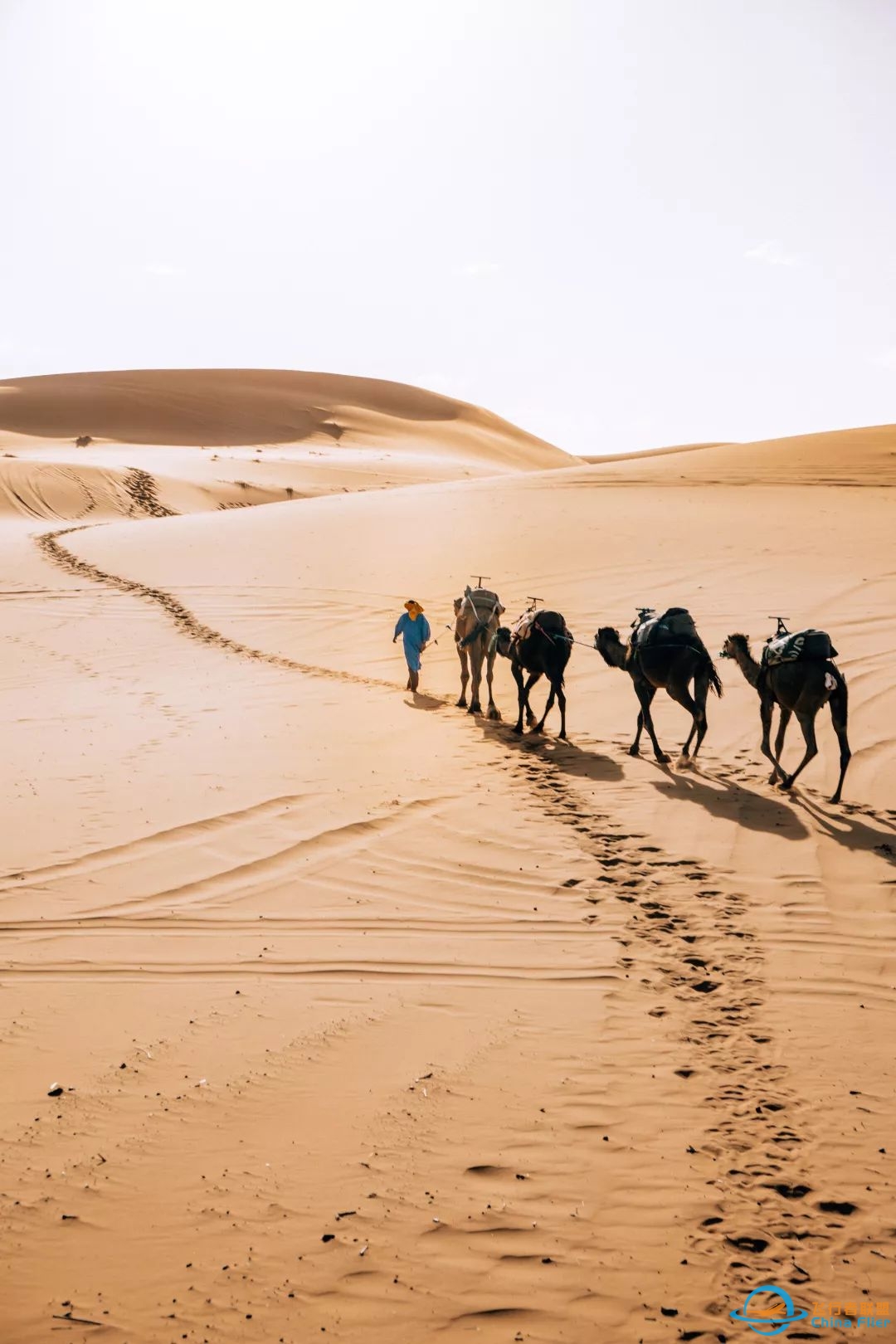 Apr 28-May 5【Mirror of the Sky in China】Qinghai&Gansu Silk Road-8118 