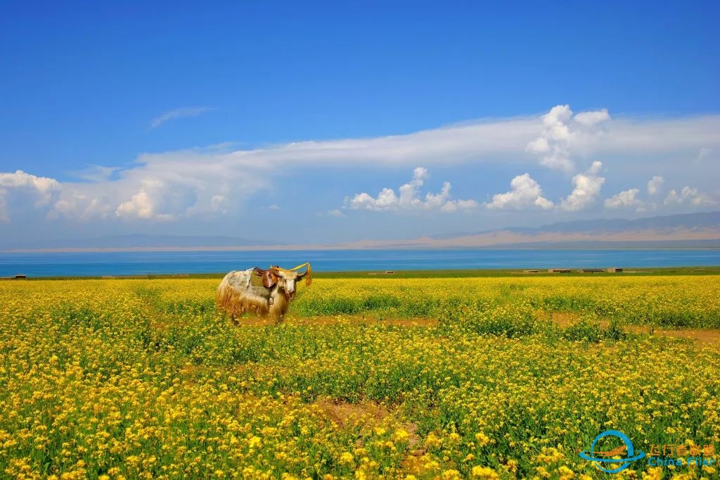 Apr 28-May 5【Mirror of the Sky in China】Qinghai&Gansu Silk Road-2906 