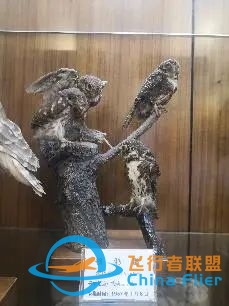 心行合一 铭记体悟|我校学子前往复旦大学开展研学活动-85 