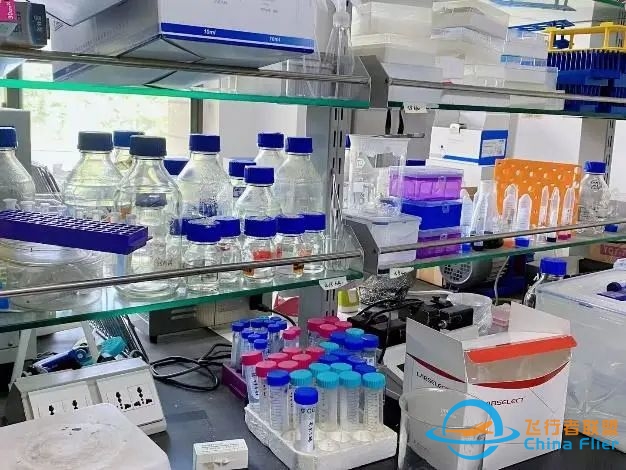 心行合一 铭记体悟|我校学子前往复旦大学开展研学活动-44 