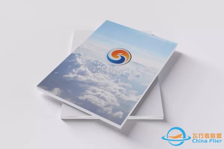 飞行模拟机的前世今生-530 