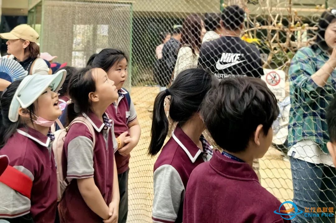 研究飞机、走进农场,JTIS让学生在研学中深度理解单元教学主题-9256 