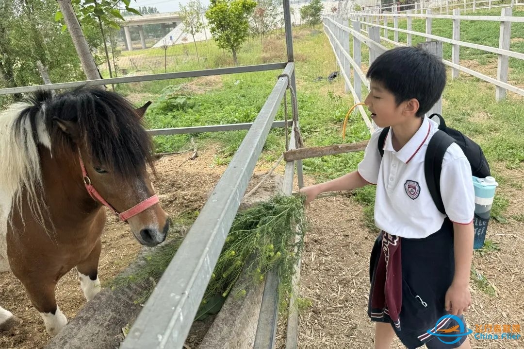 研究飞机、走进农场,JTIS让学生在研学中深度理解单元教学主题-4413 