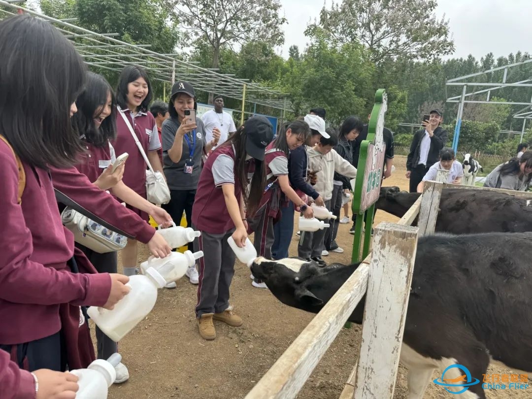 研究飞机、走进农场,JTIS让学生在研学中深度理解单元教学主题-276 