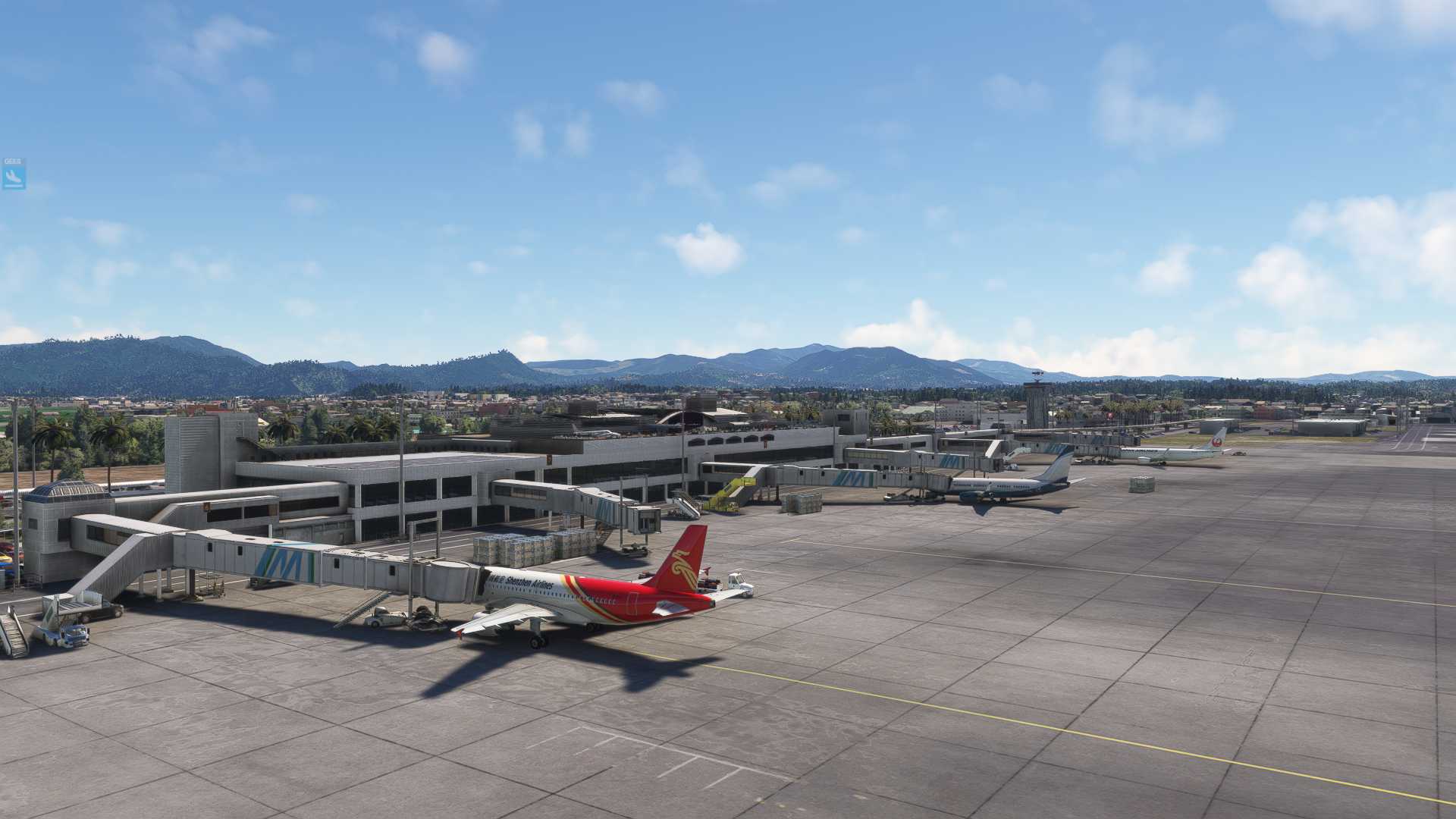MSFS  24/06/03-1-1804 