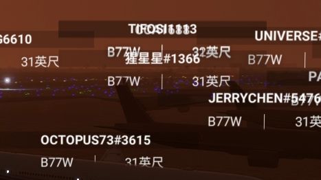 pmdg777发布的第二天，浦东机场已被77W占领-5801 