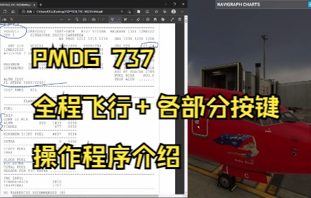 微软飞行模拟2020 PMDG 高阶版教程（全）-4555 