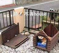 一款国产射击游戏,活生生被老外玩成了皇牌空战???-5974 