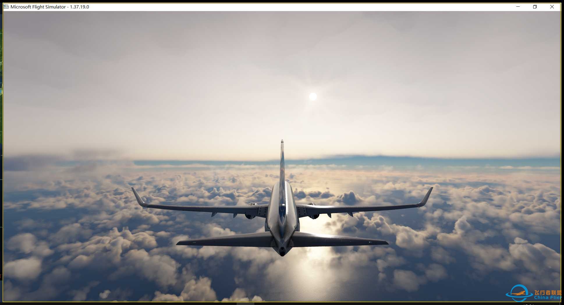 白鹭浦东起飞 2024年9月10日-8668 