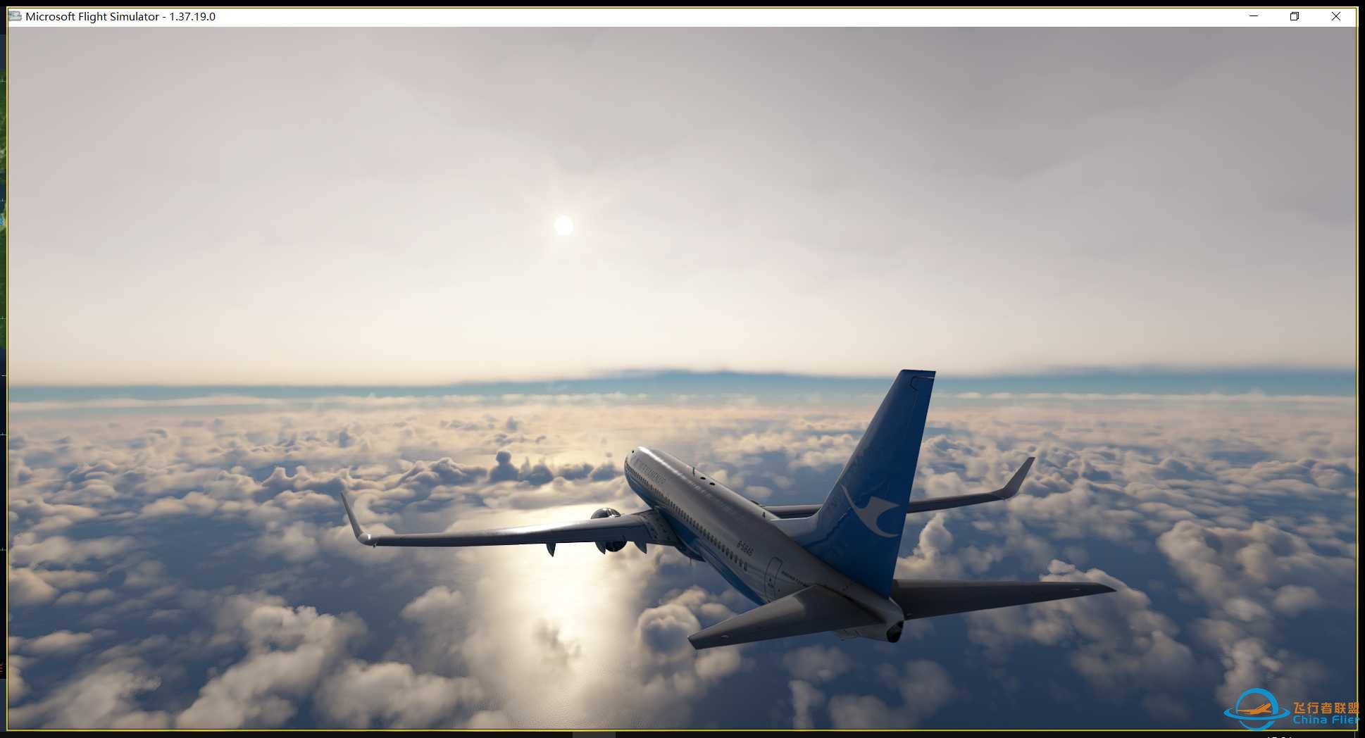 白鹭浦东起飞 2024年9月10日-3976 