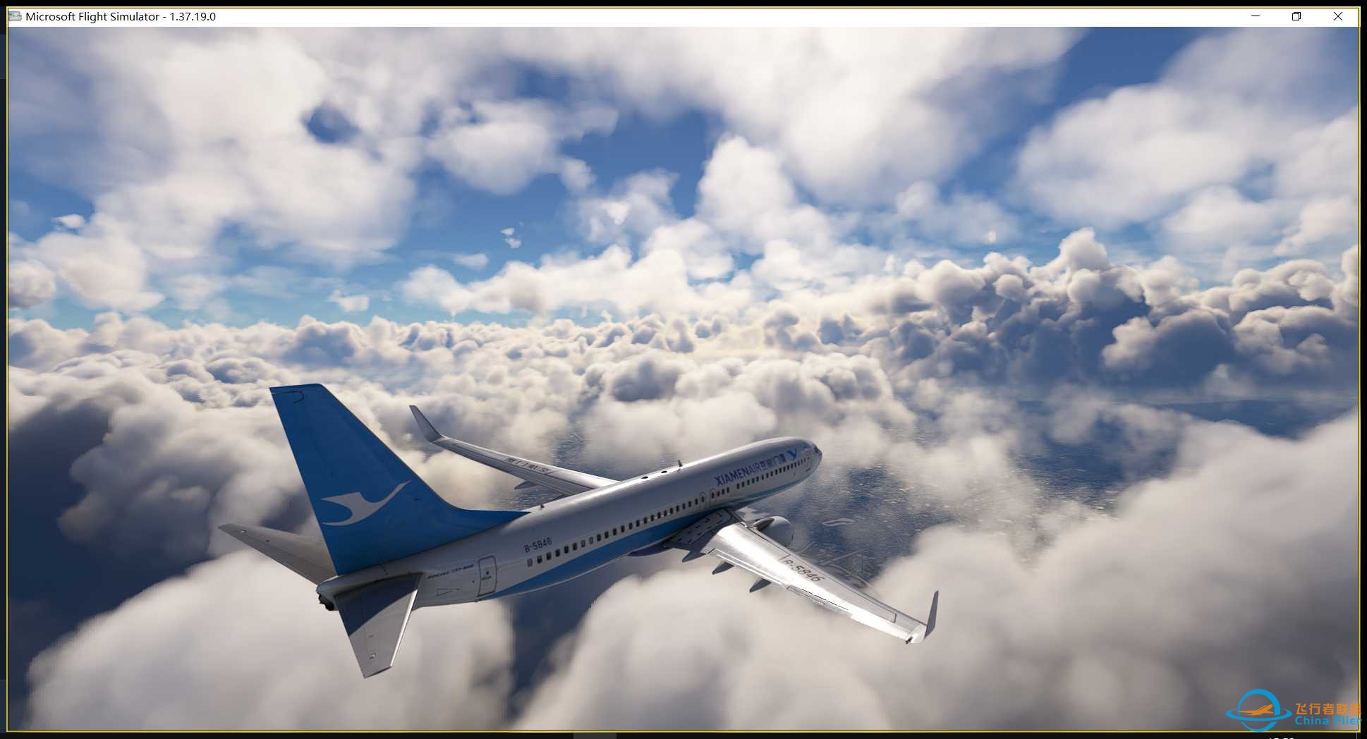 白鹭浦东起飞 2024年9月10日-3919 