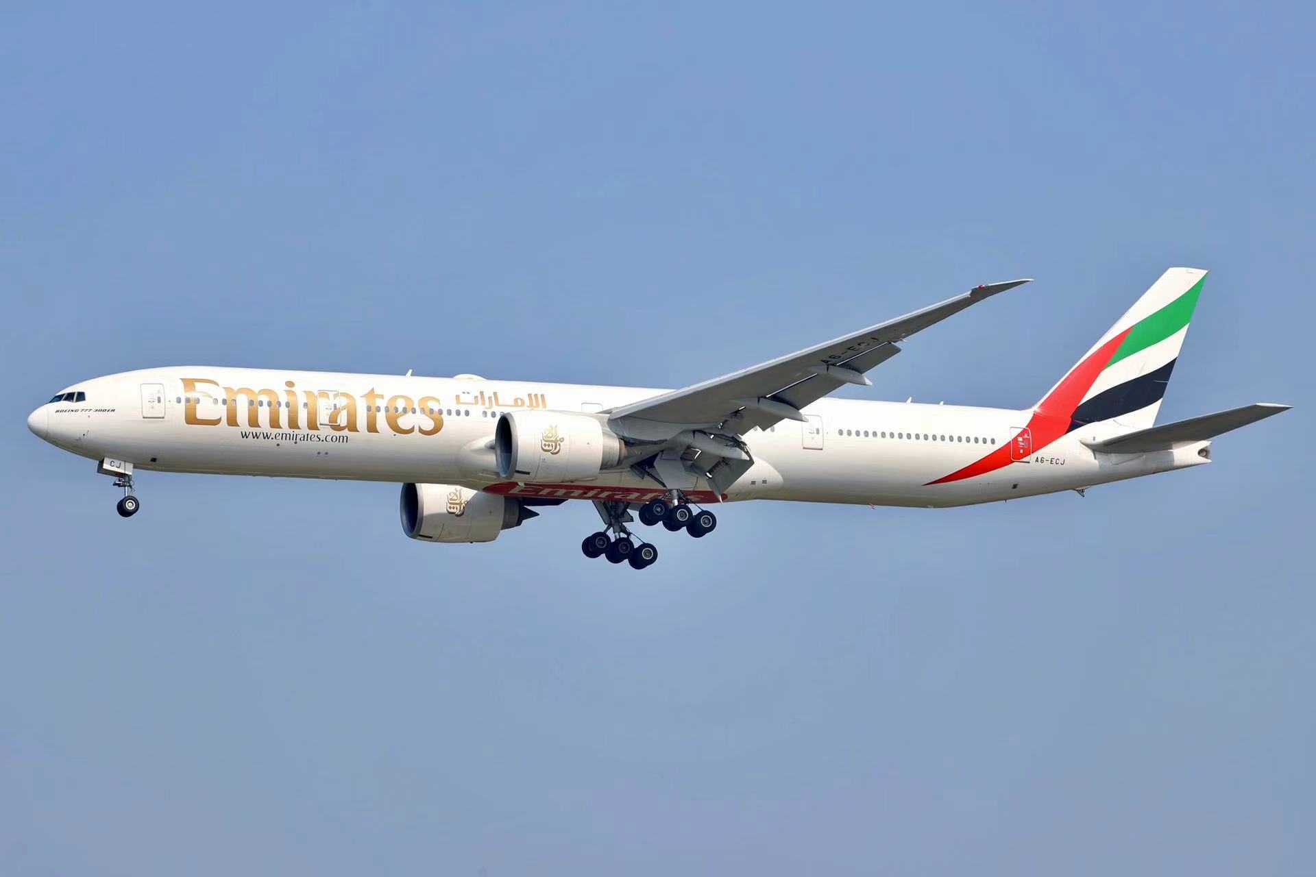 前几天拍的飞机-4736 