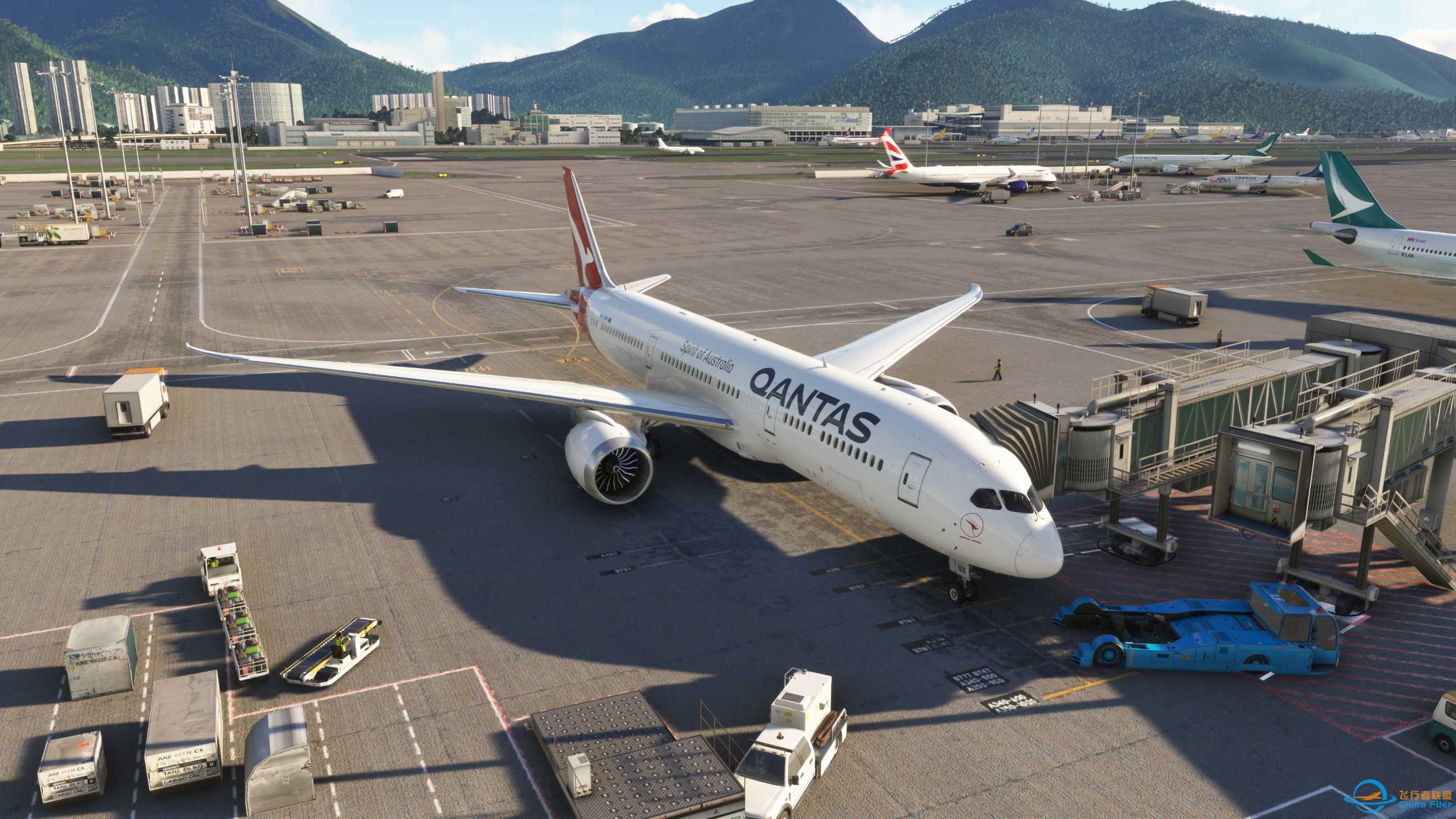 分享几张模拟飞行美图-1465 