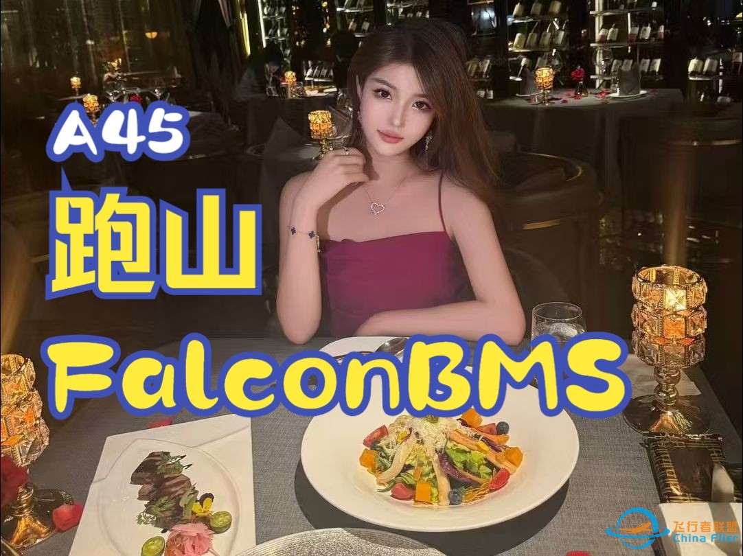 FalconBMS矛隼联队  F-15A45 AMG 战斗机 随便跑跑山-9975 
