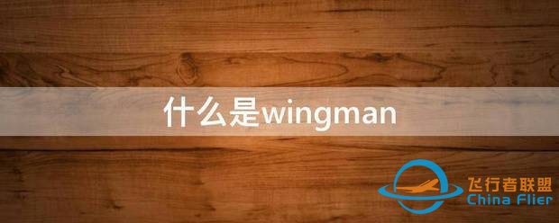 什么是w来自ingman-5493 