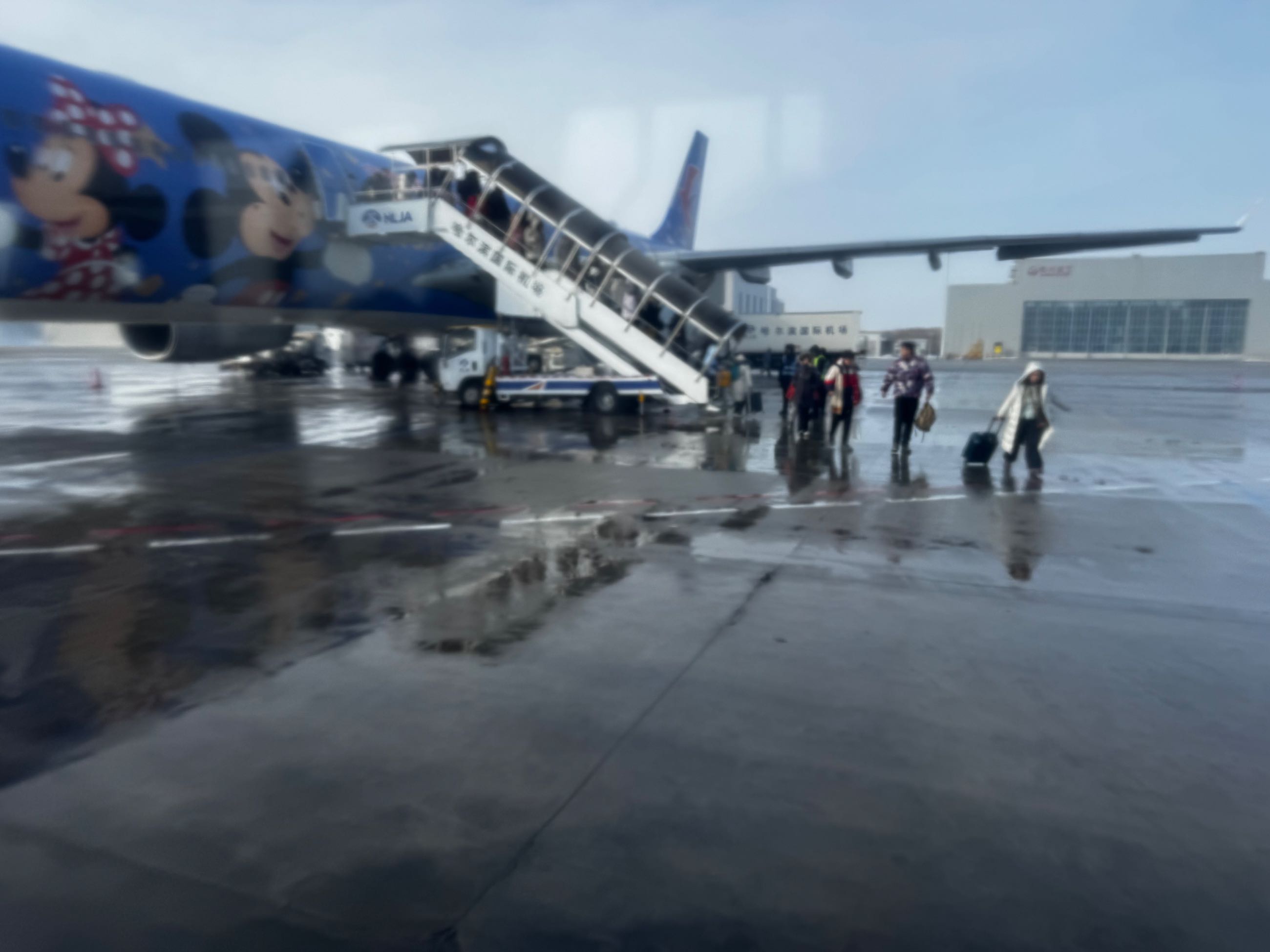 飞机之迪士尼专辑-7213 