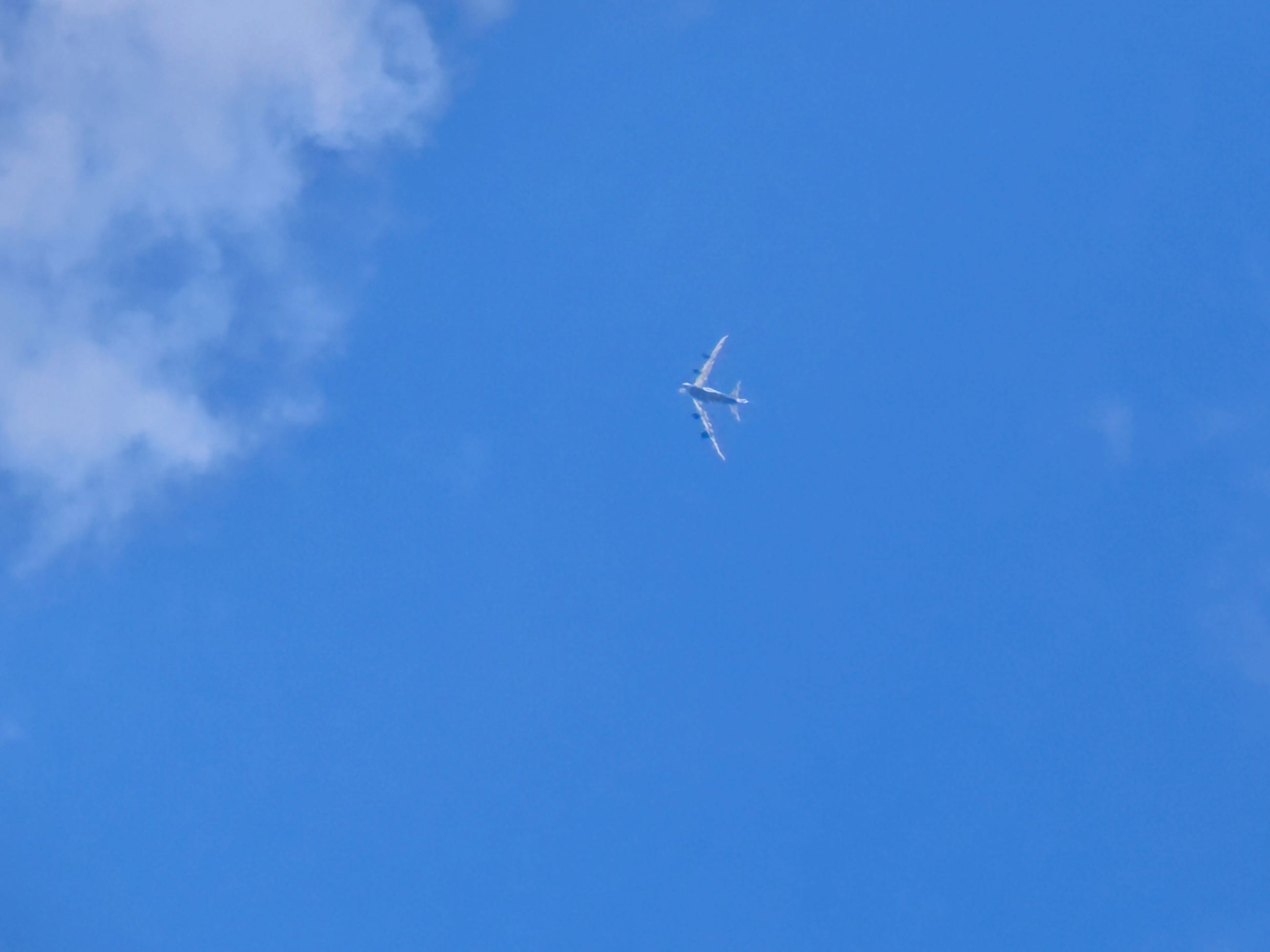 拍到747了-5212 