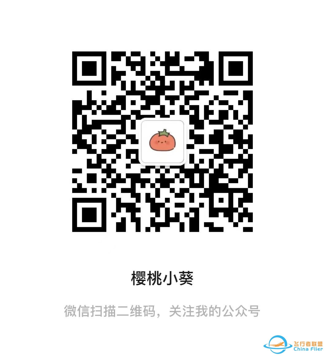 rfspro全飞机破解版(附攻略)-6847 